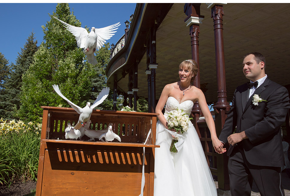 Envolée de colombes lors d'un mariage.